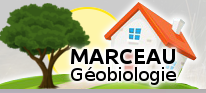 Marceau Géobiologie