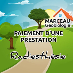 Radiesthésie Forfait 3 séances de 60 mn