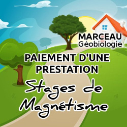 Stages de Magnétisme