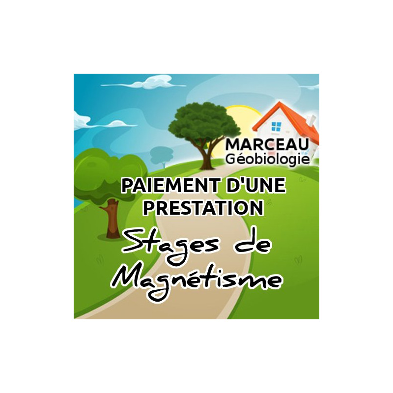 Stages de Magnétisme