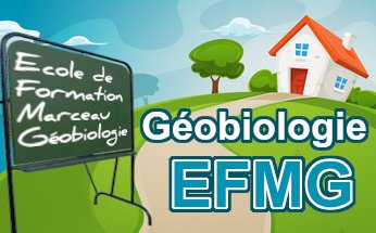 efmg logo web big