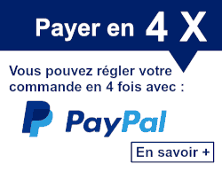 payer paypal 4x