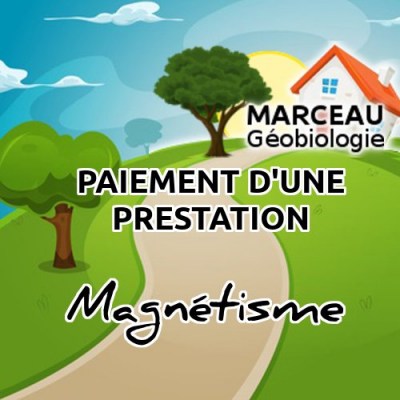 presta-magnetisme